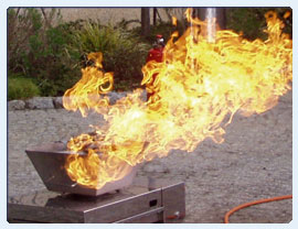 Feuer trocken